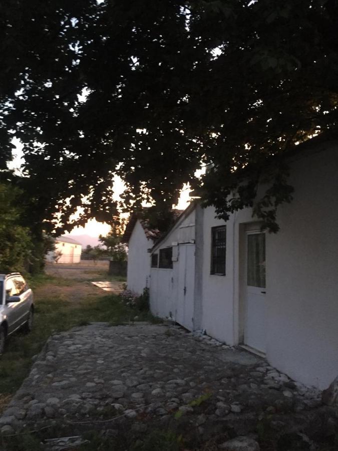 Anza Camping Szkodra Zewnętrze zdjęcie